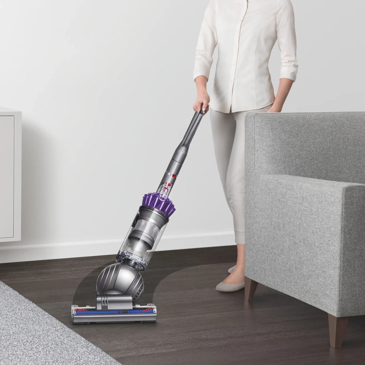 Animal | Dyson New | Slim Iron/Purple Ball
