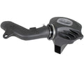 System Intake DRY Momentum w/ S Cold Pro Air Filter
