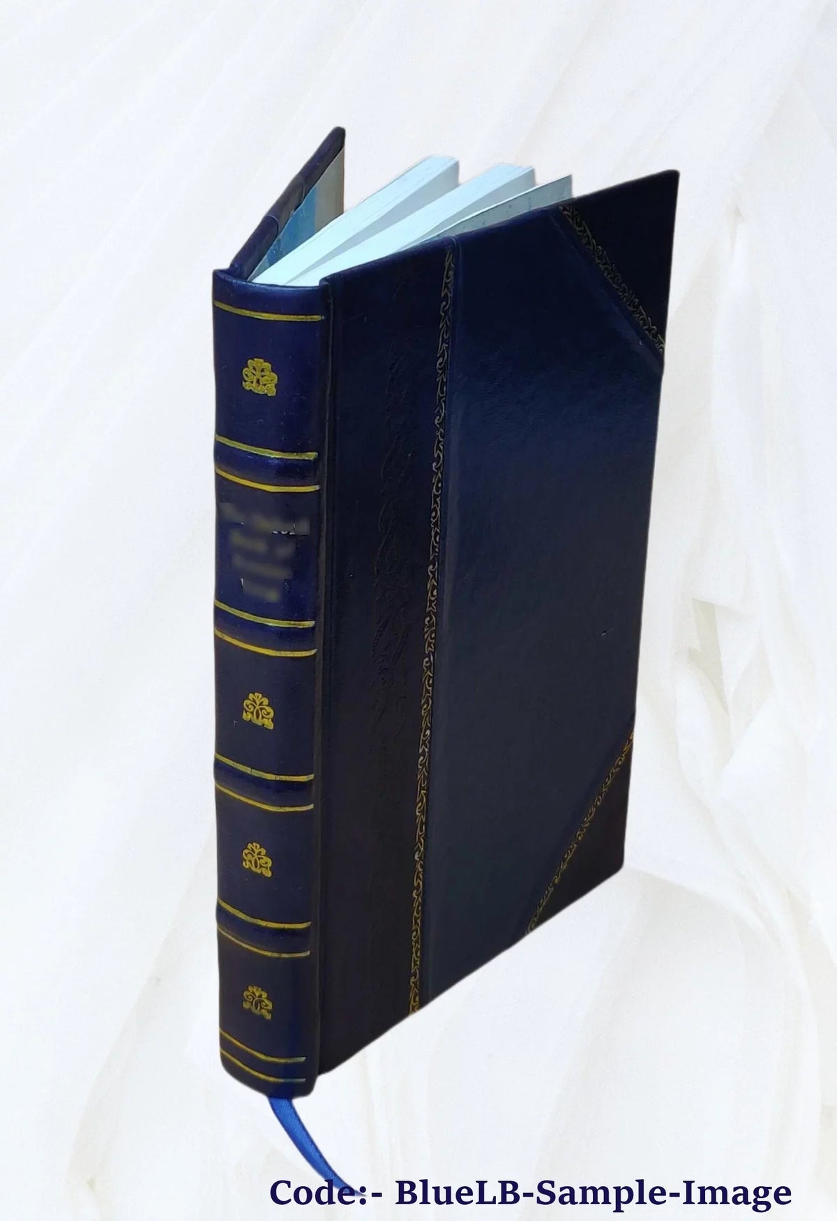 of families Massachusetts. a Bound] to England family the v.2 Maine history of : Volume New history (1908-09) and devoted [Leather magazine 1909