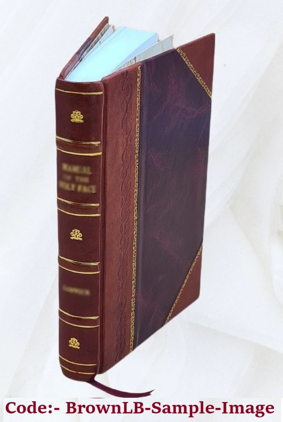 Sizeu e giù per Firenze. 1926 [Leather Bound]