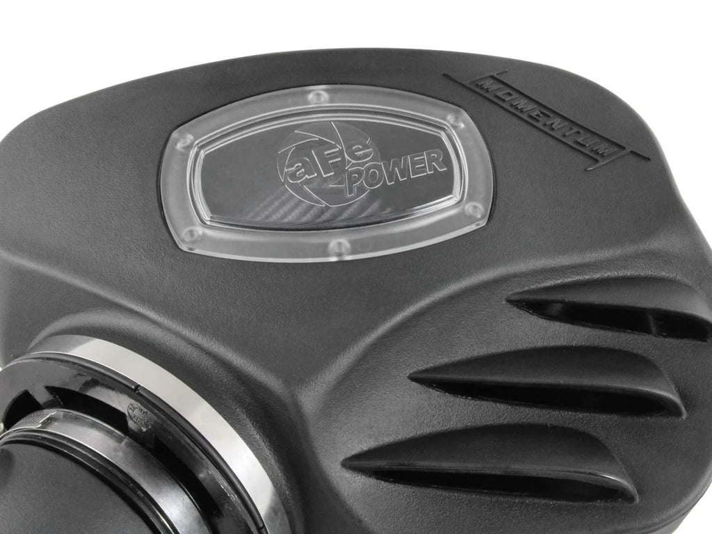 System Intake DRY Momentum w/ S Cold Pro Air Filter