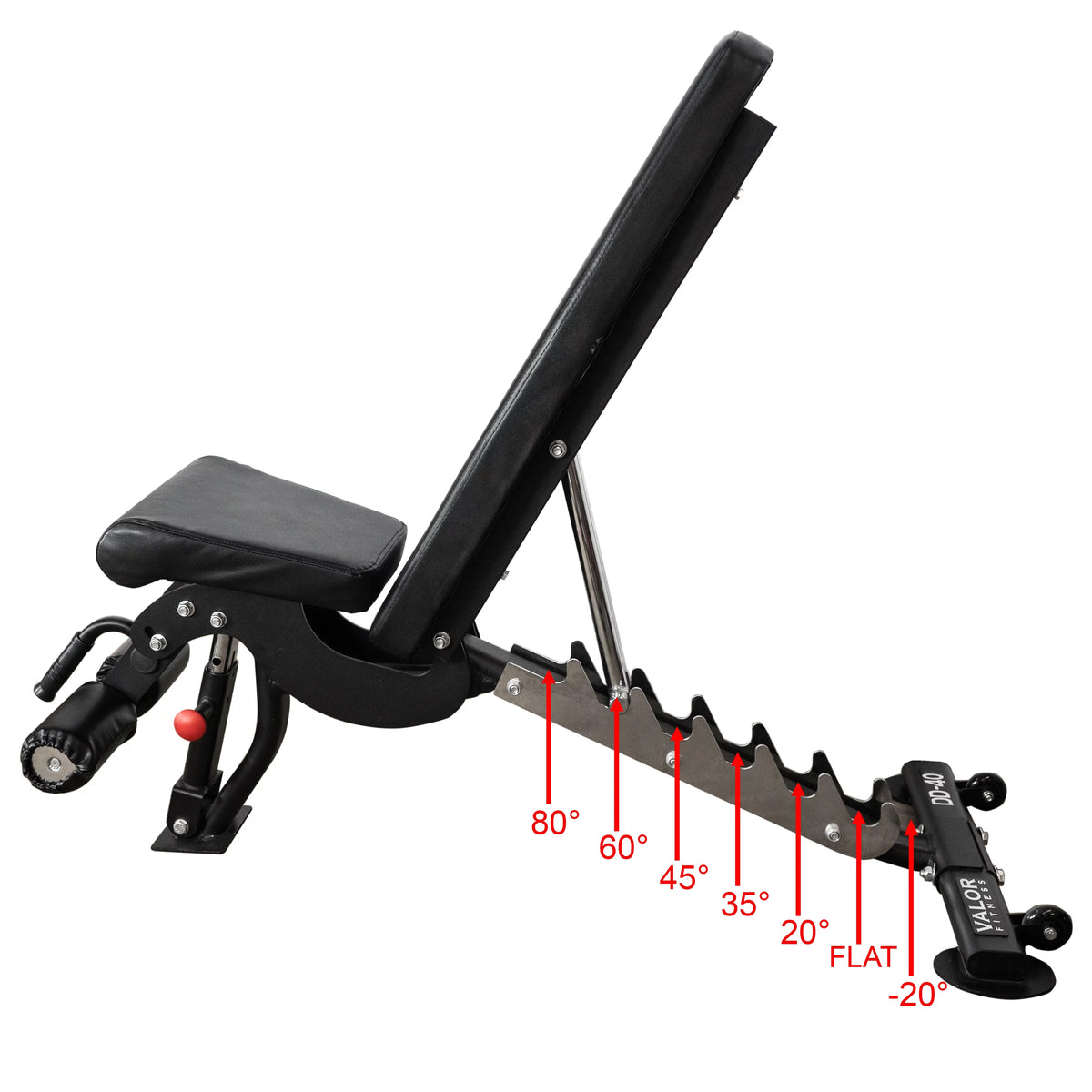 Positions Fitness – -DD-40 Black Duty Flat, Nylon and Weight Bench Incline, Adjustable Including Bench Press, 7 Valor Decline with Wheels Heavy
