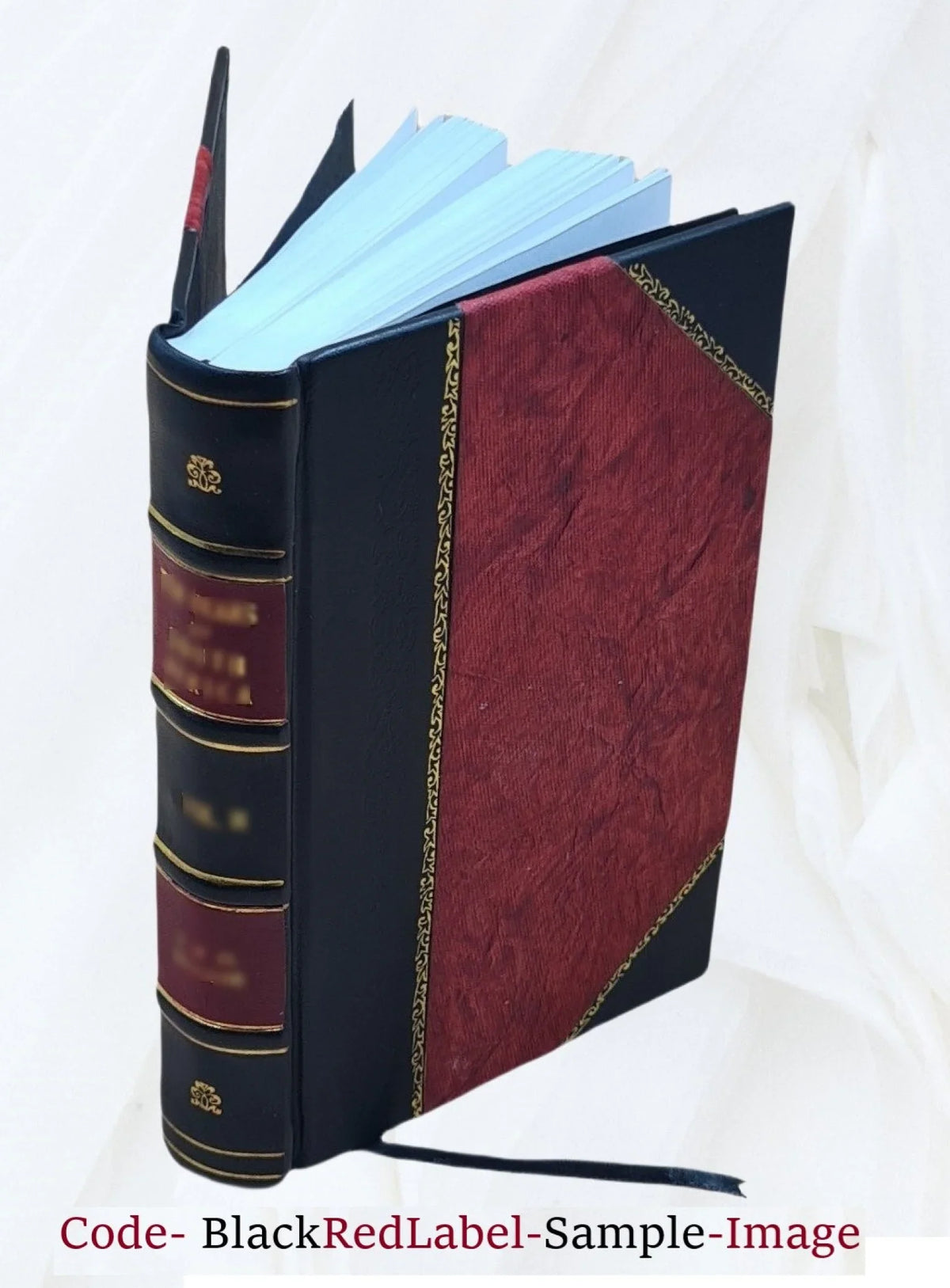 Sizeu e giù per Firenze. 1926 [Leather Bound]