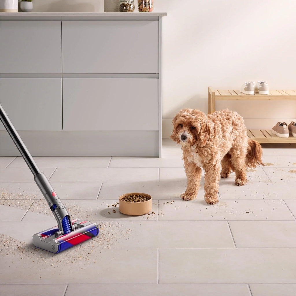 Omni-Glide+ | | Cordless Dyson New Gold Vacuum