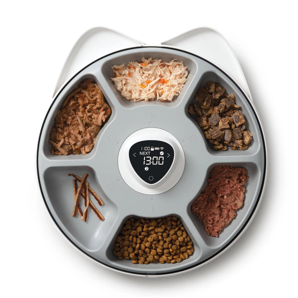 6-Meal Pixi Catit Smart feeder